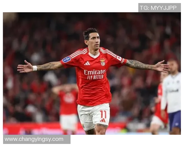 德甲激战：本菲卡逆转马竞全场沸腾数据解析引人关注